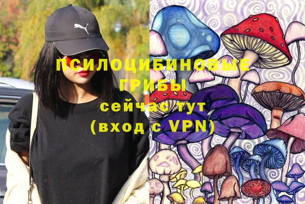 прущая мука Алзамай