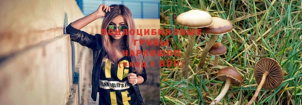 прущая мука Алзамай
