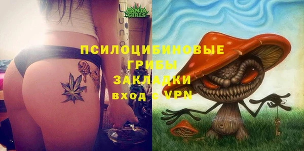 прущая мука Алзамай