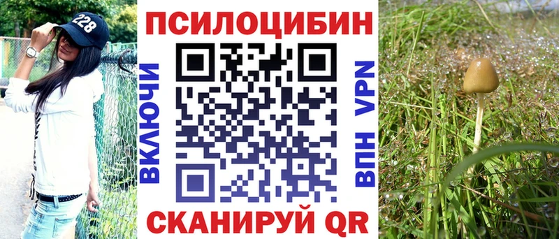 нарко площадка формула  Отрадная  Галлюциногенные грибы Psilocybe 